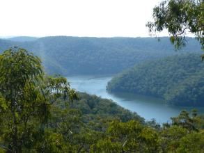 霍克伯里河 霍克伯里河