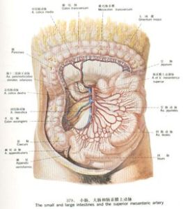 小腸淋巴管擴張症