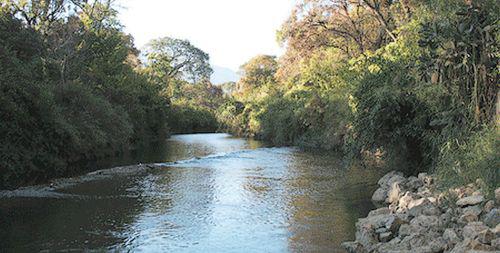 洱海[雲南省湖泊]