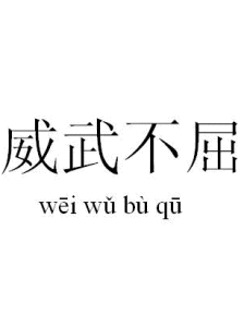 威武不屈 威武不屈