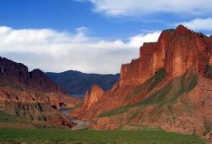 坳陷型聚煤盆地 坳陷型聚煤盆地