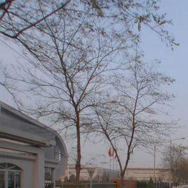 北泰汽車工業有限公司 北泰汽車工業有限公司