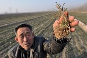 山東乾旱 山東乾旱