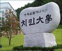 韓國炸雞大學 韓國炸雞大學