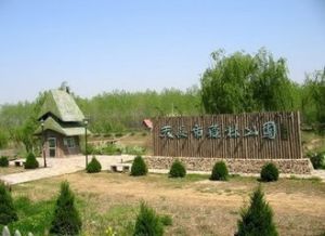 天長市森林公園 天長市森林公園