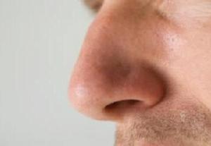 生在兩個鼻孔之間的“嗅覺競爭”現象和身體裡其它成對的感覺器官是類似