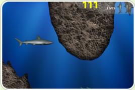 深海鯊魚 深海鯊魚