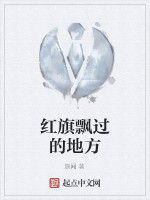 紅旗飄過的地方 紅旗飄過的地方