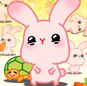 豆丁兔 豆丁兔