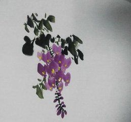 紫藤畫法