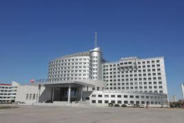 大慶石化公司 大慶石化公司