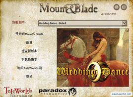 騎馬與砍殺訂婚舞會 騎馬與砍殺訂婚舞會