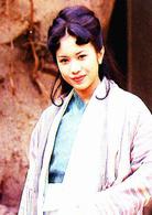 仙履奇緣[1995年周星馳主演電影]