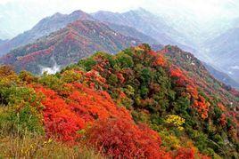 圭峰山[江西省弋陽縣圭峰鎮]