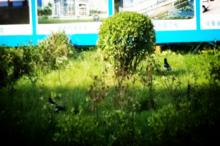 鄭州市第三人民醫院