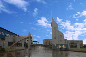 福嘉綜環科技股份有限公司 福嘉綜環科技股份有限公司