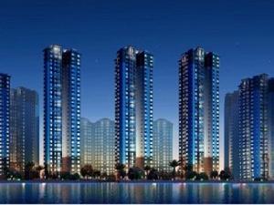 綠洲國際 綠洲國際