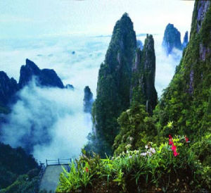 青龍溪保護區 青龍溪保護區