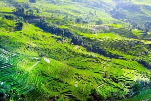 壩達景區 壩達景區