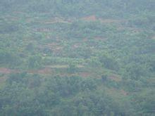 大河邊村[普義鄉三丘田村委會大河邊村]