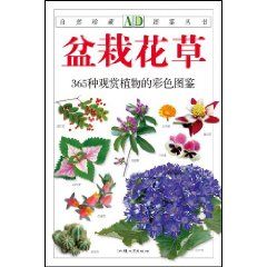 《盆栽花草》