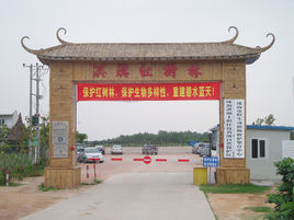 珠海淇澳紅樹林 珠海淇澳紅樹林