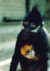 麻陽河自然保護區