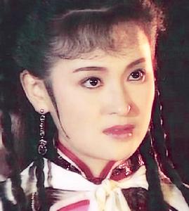 1991年，王璐瑤在台灣四十集連續劇《雪山飛狐》中扮演女主角苗若蘭引起轟動並一舉成名，被台灣傳媒譽為“清純玉女偶像”。