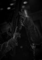 風林火山[2018年麥浚龍執導電影]