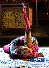 魏煒[中國北京柔術演員]