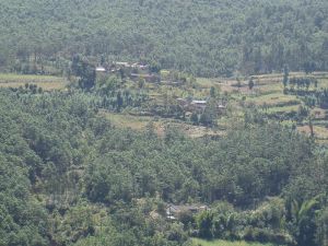 拉巴密村-全村概貌