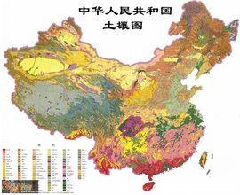土壤分類 土壤分類