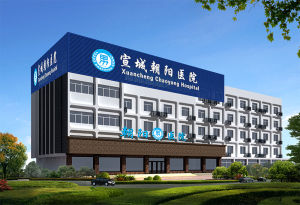 宣城朝陽醫院 宣城朝陽醫院