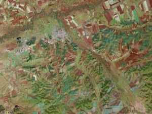 免渡河鎮 免渡河鎮