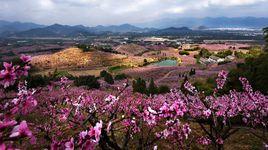 林家村[浙江省奉化市蕭王廟街道林家村]