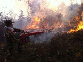 1·23貴州福泉山林火災事故 1·23貴州福泉山林火災事故