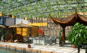 遂昌湯沐園溫泉 遂昌湯沐園溫泉