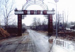 王公良村 王公良村