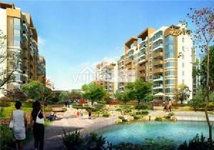 徐州國信龍湖世家照片