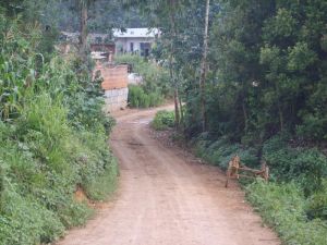 媽恨新村 媽恨新村