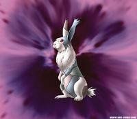 因幡之白兔 因幡之白兔