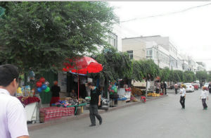 賽馬場社區 賽馬場社區