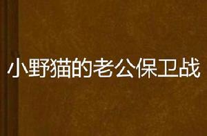 小野貓的老公保衛戰 小野貓的老公保衛戰