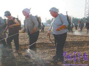 呂家莊村第六生產隊組織噴除草劑