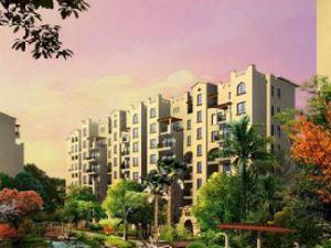 龍軒大地 龍軒大地