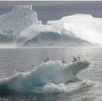 海平面上升 海平面上升