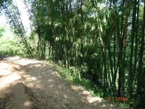 幫海自然村 幫海自然村