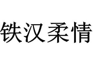 《鐵漢柔情》[詞語釋義]