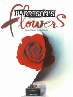 《哈里遜之花》 《哈里遜之花》