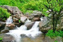 臥龍谷[江西婺源]